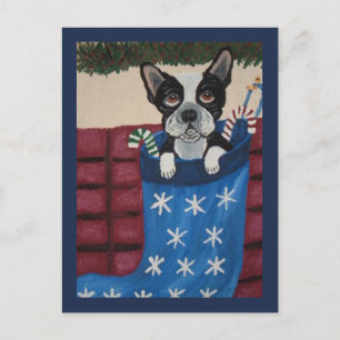 Weihnachts-Boston-Terrier in einer Strumpfhose Postkarte