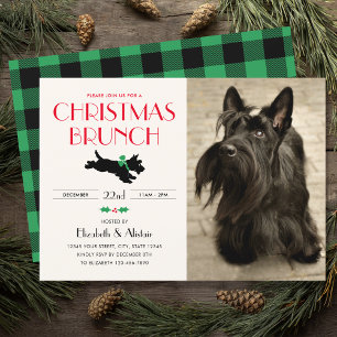 Weihnachts-Brunch-Party Scottie-Hund-Foto Grün Einladung