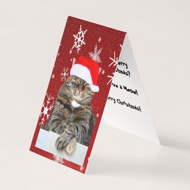 Weihnachts-Cat-Foto in Weihnachtsmannmütze Schneef (Vorderseite)
