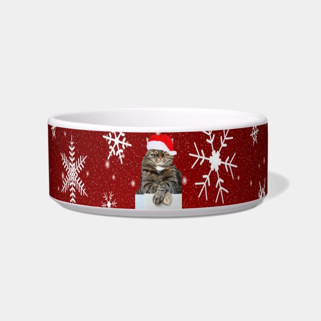 Weihnachts-Cat-Foto in Weihnachtsmannmütze Schneef Napf (Vorderseite)