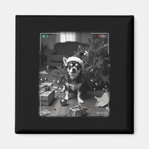 Weihnachts-Chihuahua auf Kamera erwischt Magnet