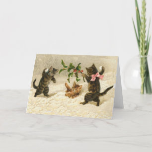 Weihnachts-Comic Katzen Schneeballkampf Feiertagskarte