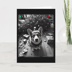 Weihnachts-Corgi auf Kamera erwischt Karte