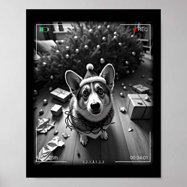 Weihnachts-Corgi auf Kamera erwischt Poster (Vorne)