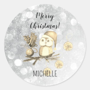 Weihnachts-Cute Eule mit Zweigen und Kugeln Runder Aufkleber