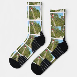 Weihnachts-Dinosaurier Brontosaurus Socken