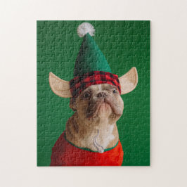 Weihnachts-Elf Funny Dog Pet Xmas
