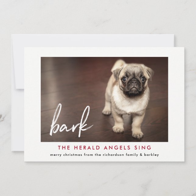 Weihnachts-Fotokarte vom Hund | Rot Feiertagskarte (Vorderseite)
