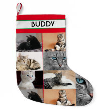 Weihnachts Fotos für Haustiere Personalisiert Chat