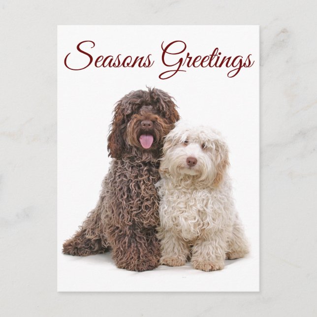 Weihnachts-Frohe Festtage Labradoodle Friends Postkarte (Vorderseite)