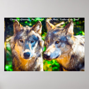 Weihnachts-Gründerführer des Pakets Poster