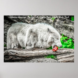 Weihnachts-Gründerführer des Pakets Poster