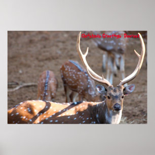 Weihnachts-Grüße Poster