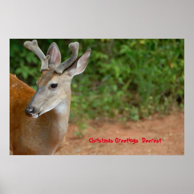 Weihnachts-Grüße Poster (Vorne)