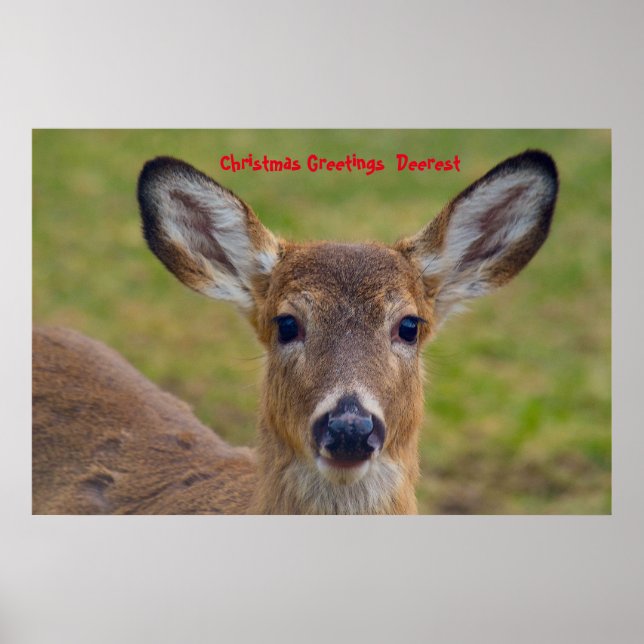 Weihnachts-Grüße Poster (Vorne)