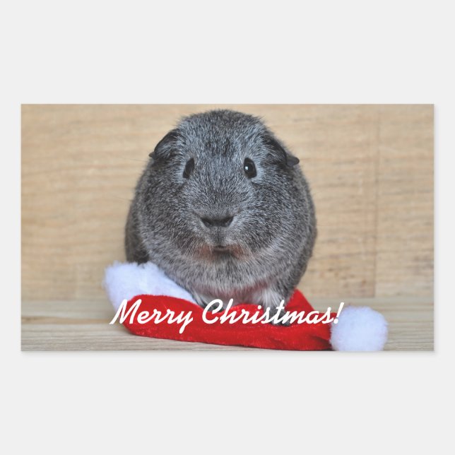 Weihnachts-Guinea Rechteckiger Aufkleber (Vorderseite)