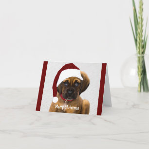 Weihnachts-Haustierfoto, maßgeschneidert und perso Karte