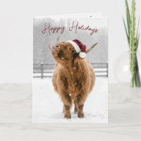 Weihnachts Highland-Kuh leckt Schneeflocken
