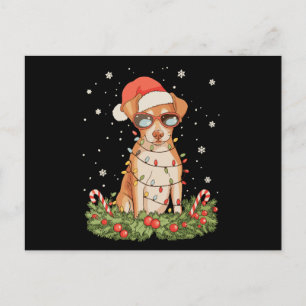 Weihnachts Hund Pinscher Xmas Santa Hut Feiertag Feiertagspostkarte
