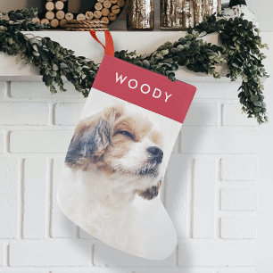 Weihnachts-Hundefoto   Moderner stilvoller roter H Kleiner Weihnachtsstrumpf