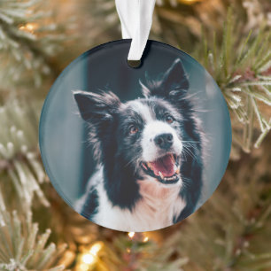 Weihnachts-Hundefoto  Ornament