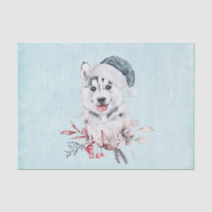 Weihnachts-Husky-Hund in einer Weihnachtsmannmütze Seidenpapier