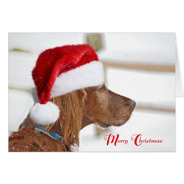 Weihnachts-Irish Setter in Schneeflocken (Vorderseite (Horizontal))