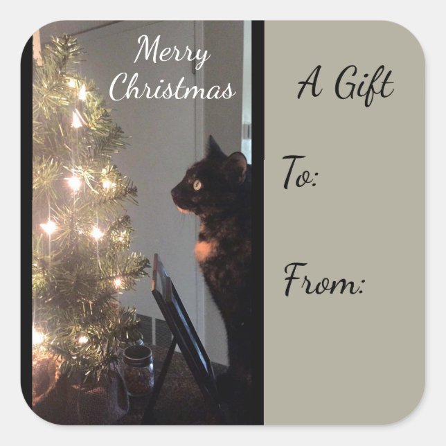Weihnachts Joy Calico Cat Geschenksticker Quadratischer Aufkleber (Vorderseite)
