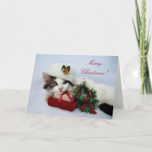 Weihnachts-Kittenkarte Feiertagskarte