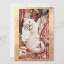 Weihnachts-Kitty Engel