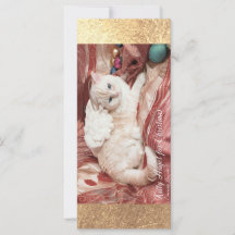 Weihnachts-Kitty Engel