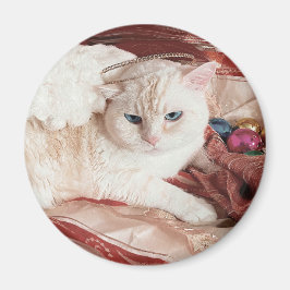 Weihnachts-Kitty Engel Magnet