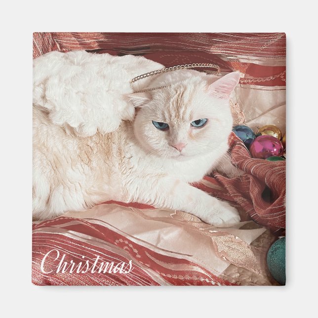 Weihnachts-Kitty Engel Magnet (Vorne)