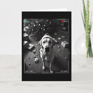 Weihnachts-Labrador Retriever auf Kamera aufgefang Karte