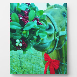 Weihnachts-Mistletoe Aquamarin Fotoplatte