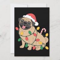 Weihnachts-Mops-Hund-Santa-Hut-Lichter-Zuckerstang