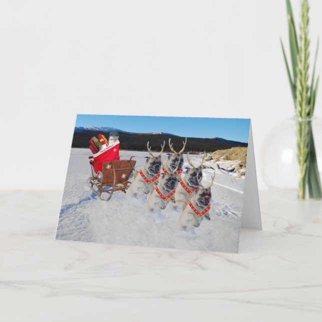 Weihnachts-Mops Hunde zum Mitnehmen Feiertagskarte (Vorderseite)