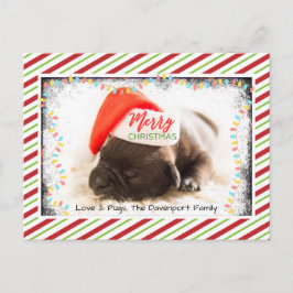 Weihnachts-Mops in Weihnachtsmannmütze mit Weihnac Feiertagspostkarte