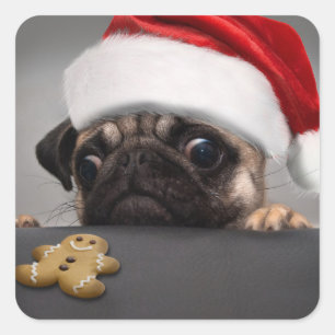 Weihnachts-Mops Quadratischer Aufkleber