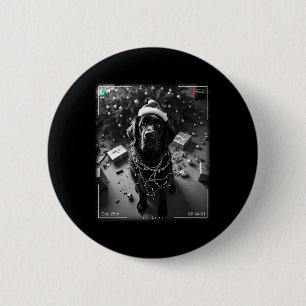 Weihnachts-Newfoundländer auf Kamera erwischt Button
