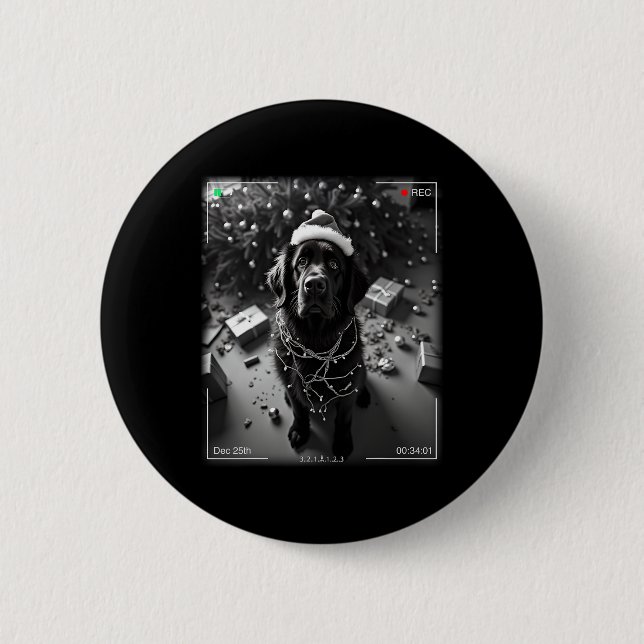 Weihnachts-Newfoundländer auf Kamera erwischt Button (Vorderseite)