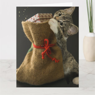 WEIHNACHTS-NIEDLICHE KATZE ÜBERRASCHUNGEN Grußkart Karte