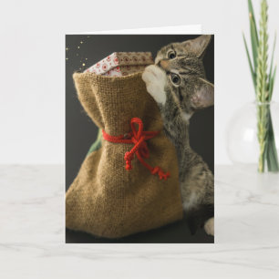 WEIHNACHTS-NIEDLICHE KATZE ÜBERRASCHUNGEN GRUßKART KARTE