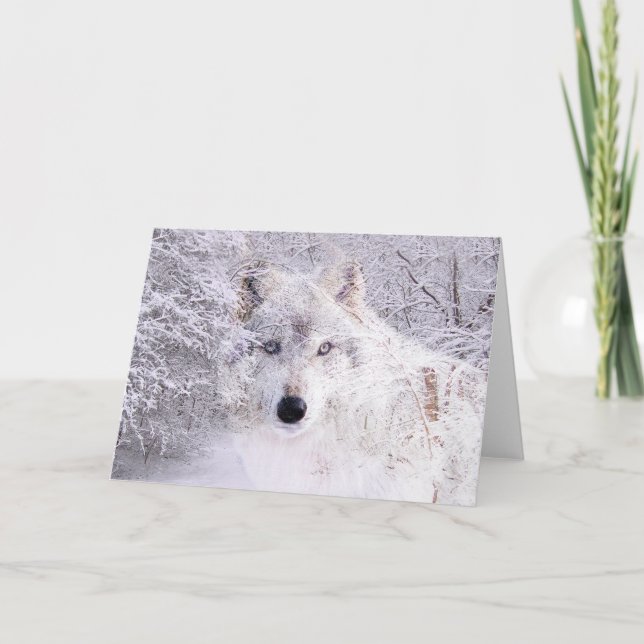 Weihnachts- oder Winterwolf Feiertagskarte (Vorderseite)