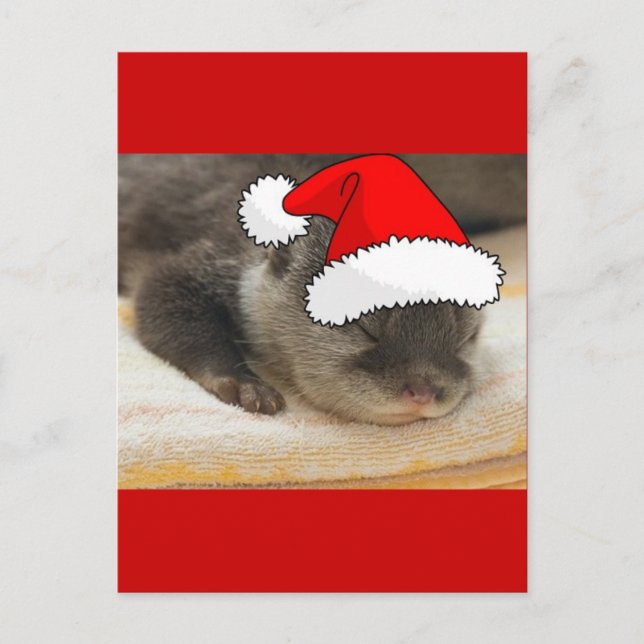 Weihnachts-Otter Feiertagspostkarte (Vorderseite)