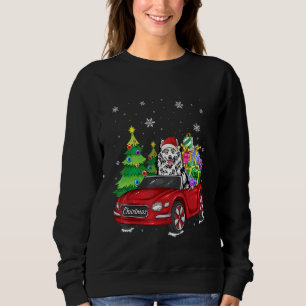 Weihnachts Pajama American Eskimo Hund und roter L Sweatshirt