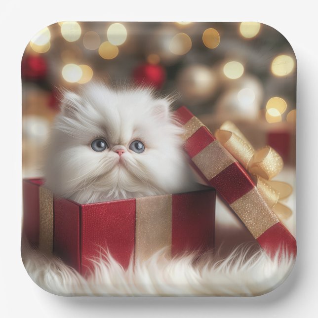 Weihnachts-Perserkätzchen in einer Geschenkboxen Pappteller (Vorderseite)