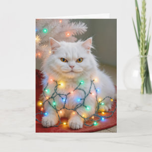 Weihnachts-Perserkatze in festlichen Lichterketten Karte
