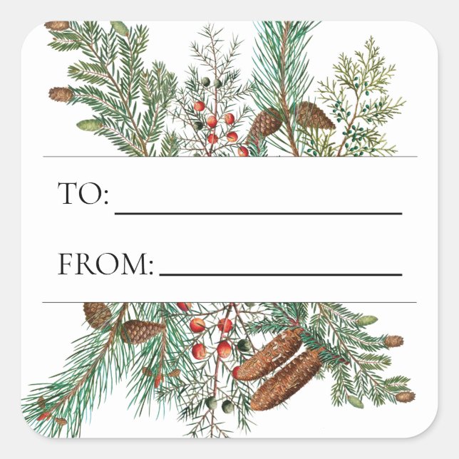 Weihnachts-Pine Conifer Forest Festival Evergreen Quadratischer Aufkleber (Vorderseite)