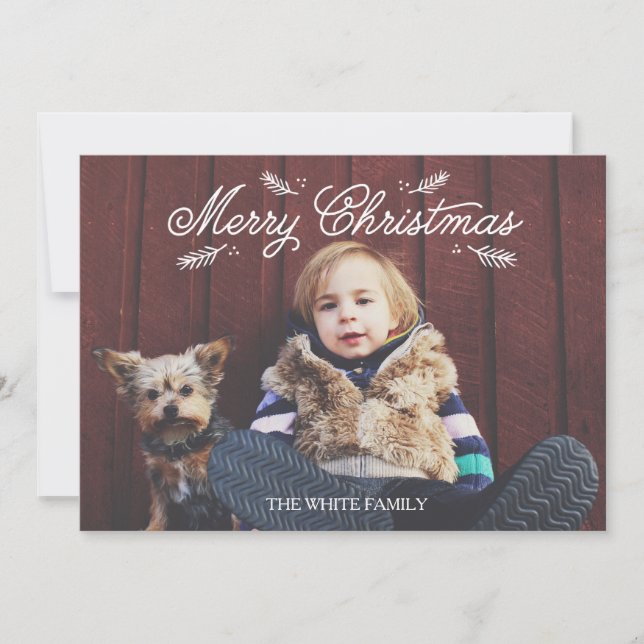 Weihnachts Pine Holiday Fotokarte Feiertagskarte (Vorderseite)